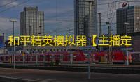 和平精英模拟器【主播定制】辅助