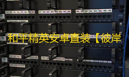 和平精英安卓直装【彼岸直装】辅助