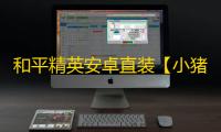 和平精英安卓直装【小猪熊直装】辅助