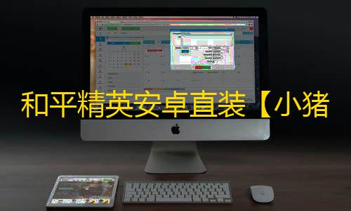 和平精英安卓直装【小猪熊直装】辅助