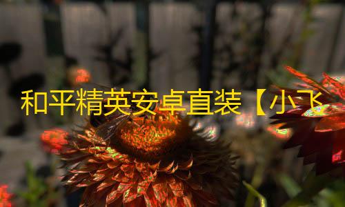和平精英安卓直装【小飞猪直装】辅助