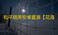 和平精英安卓直装【花海直装】辅助
