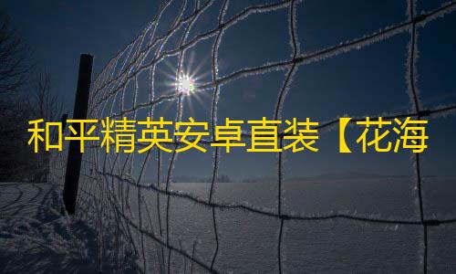 和平精英安卓直装【花海直装】辅助
