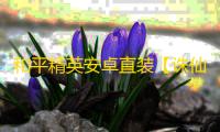 和平精英安卓直装【诛仙直装】2辅助